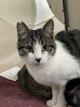 小さめ可愛い男の子