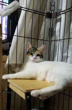 幼さの残る遊ぶの大好きな子