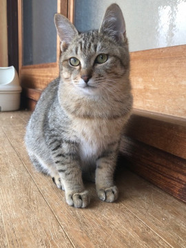 チュール大好き❣️びーちゃん
