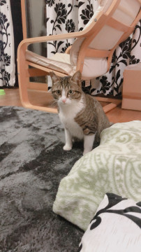 とっても仲良し3兄妹❤️