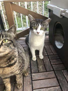 仲良し3兄妹❤️