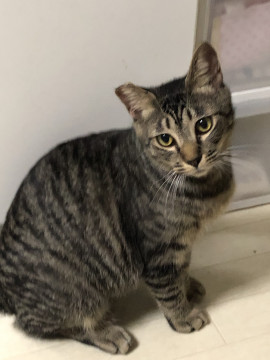 生後10ヶ月のヤンチャな男の子です♪