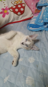 1才男の子