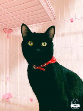 甘えん坊しんちゃん❤️