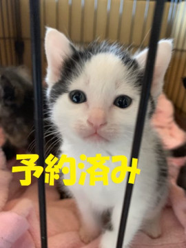 ６兄妹