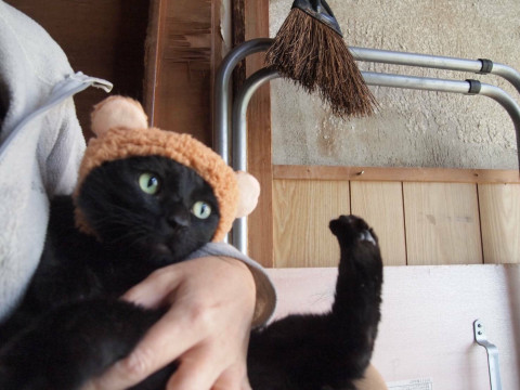 愛嬌たっぷり！お膝大好き♡