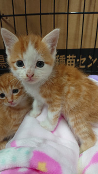 １ヶ月 男の子