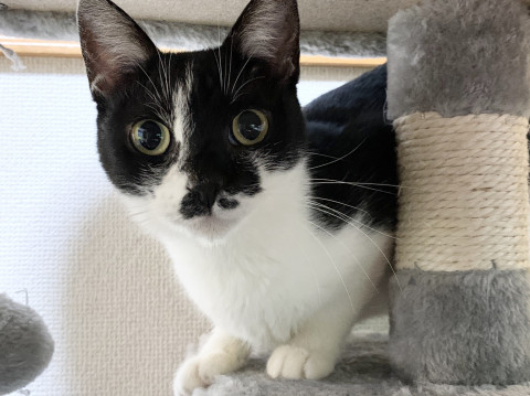 小柄で甘えん坊です