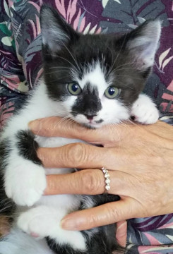 レオちゃんと、仲良し！これからも一緒希望