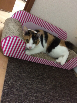 可愛い杏ちゃん