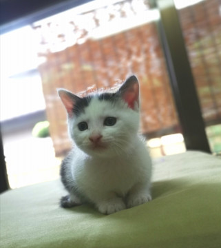 ふんわりきょうだい③