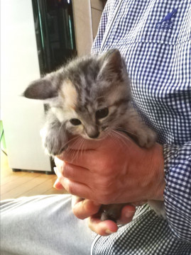 ふんわりきょうだい④