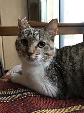 甘えん坊の女の子