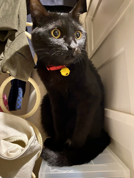 トライアル決定しました♡