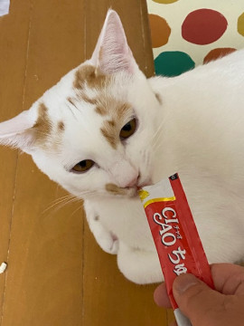 甘えん坊のゴロスリ君