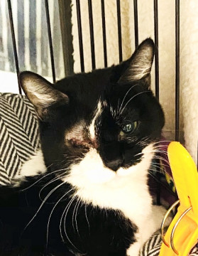 トライアル決定の為停止します❤多頭崩壊