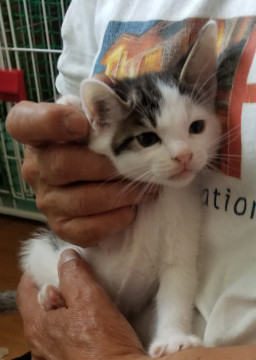 やんちゃでワンパクな男の子