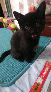 おてんばでも、用心深い女の子です