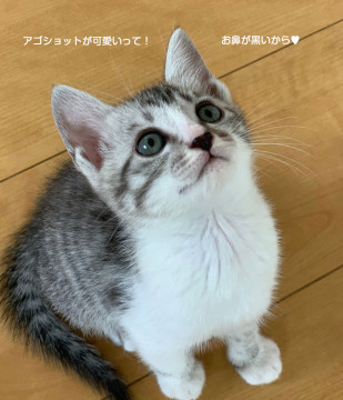 サバ白・甘ったれ小柄な元気印の女の子