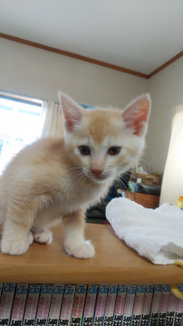 里親様、決まりました‼️