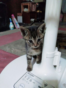 甘えた少女❤️