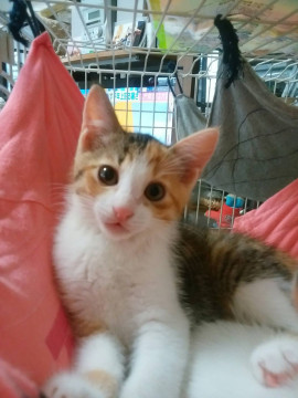 小顔で元気！活発な女の子