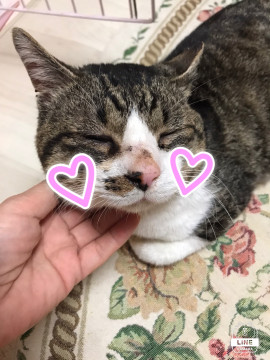 骨盤骨折を乗り越えて〜モモジくん