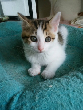 超甘えん坊！元気な男の子