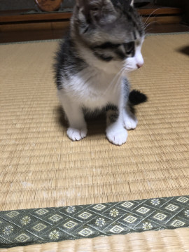 お目目クリクリ
