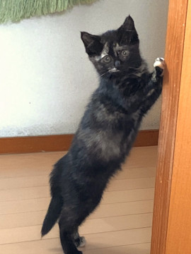 サビの魅力が満載 詰まってませんか？