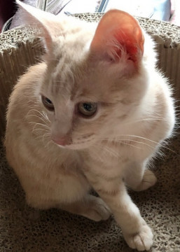 小柄で甘えっ子♡4カ月