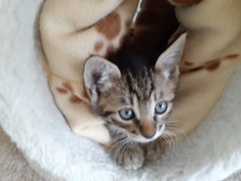 抱っこも好き！可愛い りょうちゃんです