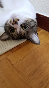 かまってちゃん♪