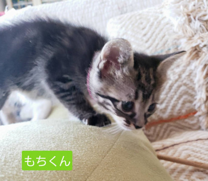 5月5日生まれ♡キュートな兄弟