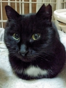 優しくて性格の良い子です=^_^=