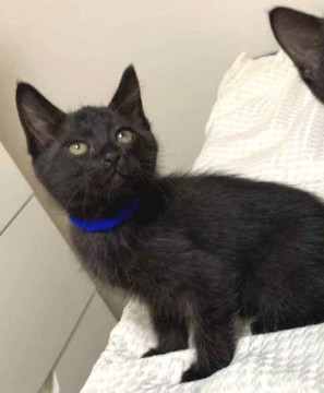 元気いっぱい エルくん