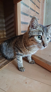 抱っこが大好き