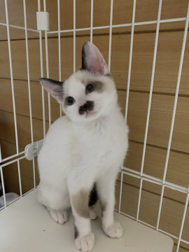 佐呂間から来ました