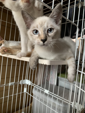 佐呂間から来ました