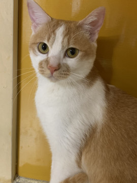 佐呂間から来ました