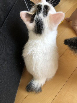 美・4兄妹 後ろ姿がたまらん