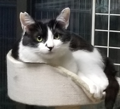 捨てられボロボロからの復活！