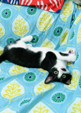 トライアル決定の為停止します❤めんま