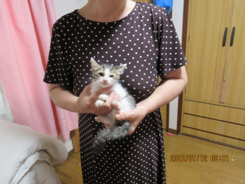 ご家族募集中です。⑵