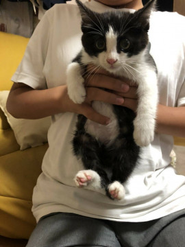 可愛い女の子です