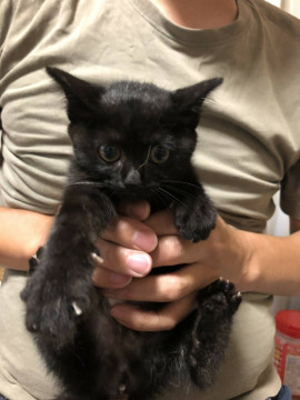 ブラック女の子❣️