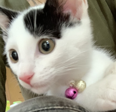 ベタベタの甘えっ子❣️