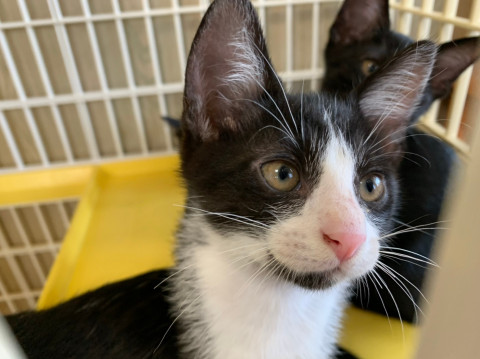 ほんわかマイペース男子　浦ちゃん♪