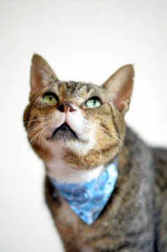 河川敷での虐待の過去を持つブン太くん