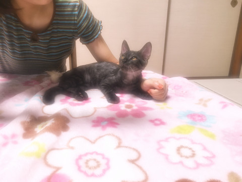 ボク達2匹でお留守できるよ